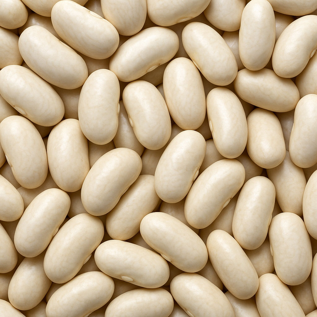 Fasola biała – rynek